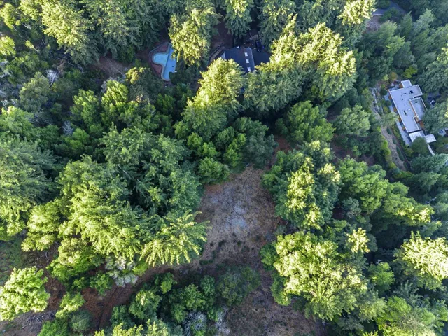 a view of a forest with a street