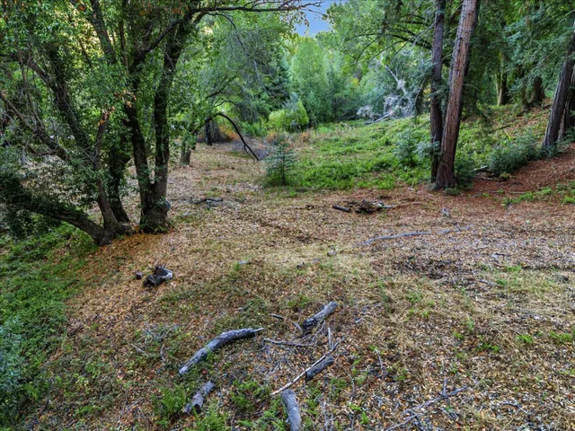 a big yard with lots of green space and deers