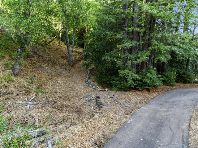 a view of a dry yard with trees and stairs