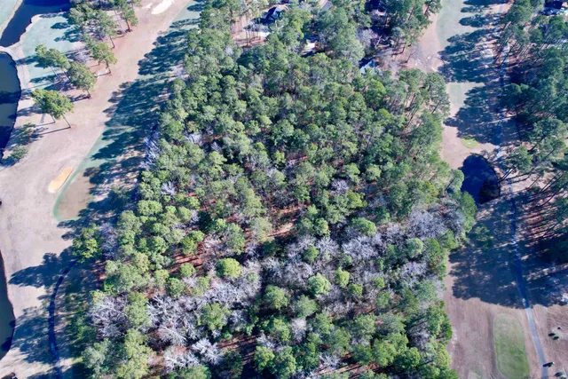 $399,000 | 10-lots - Dragoon Court, Georgetown, SC 29440