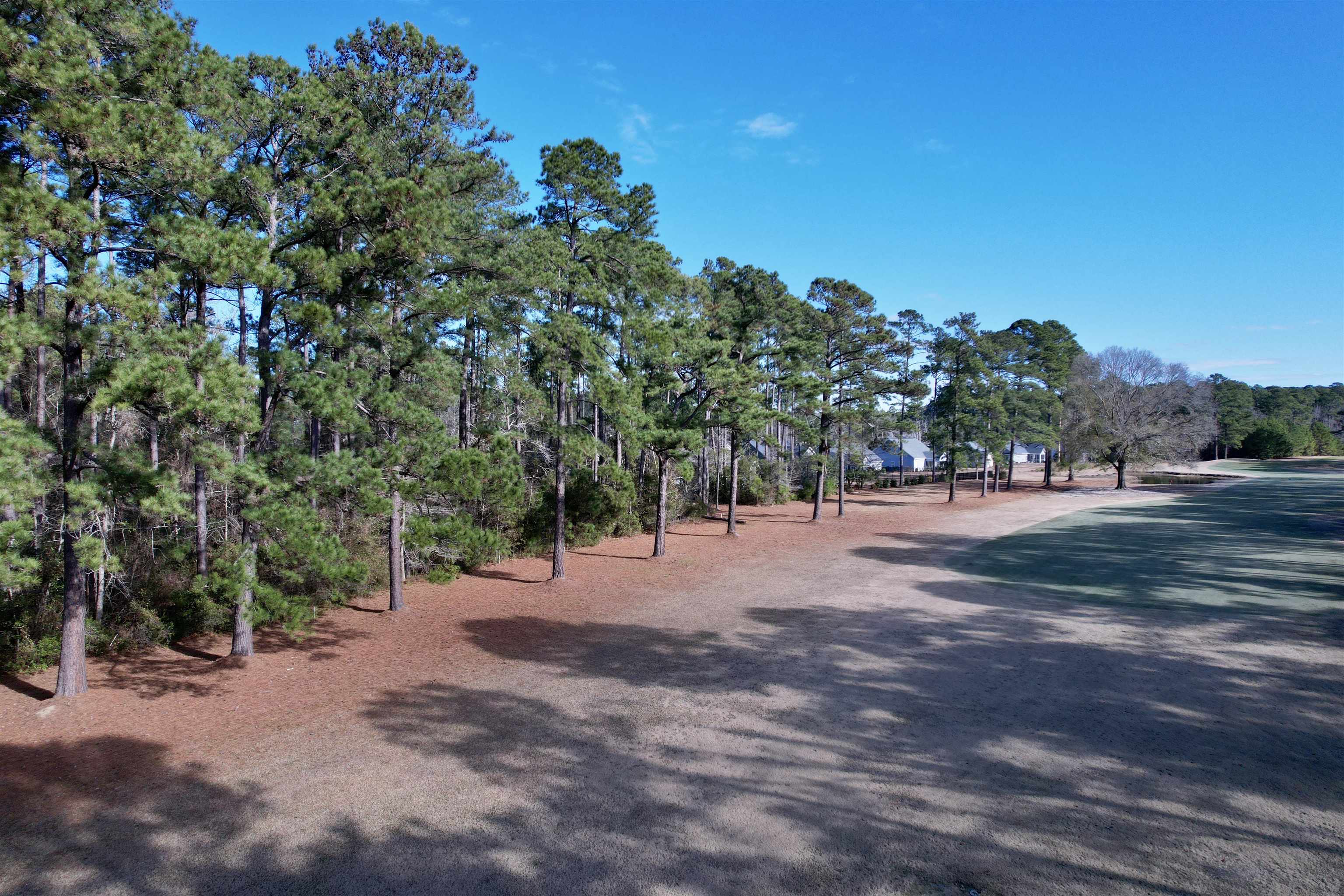 10-lots - Dragoon Court Georgetown, SC 29440 - Photo 2 of 14
