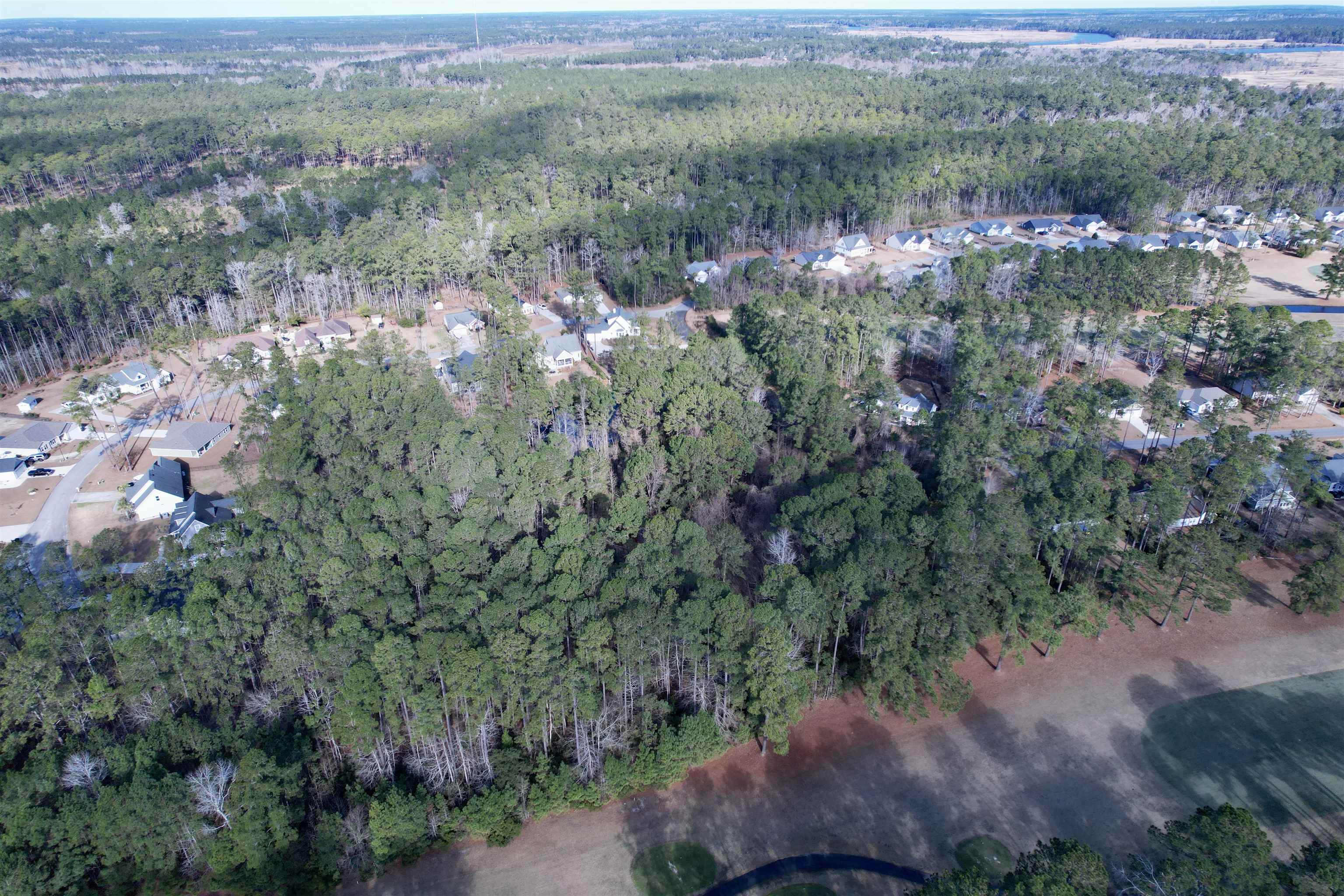 10-lots - Dragoon Court Georgetown, SC 29440 - Photo 3 of 14