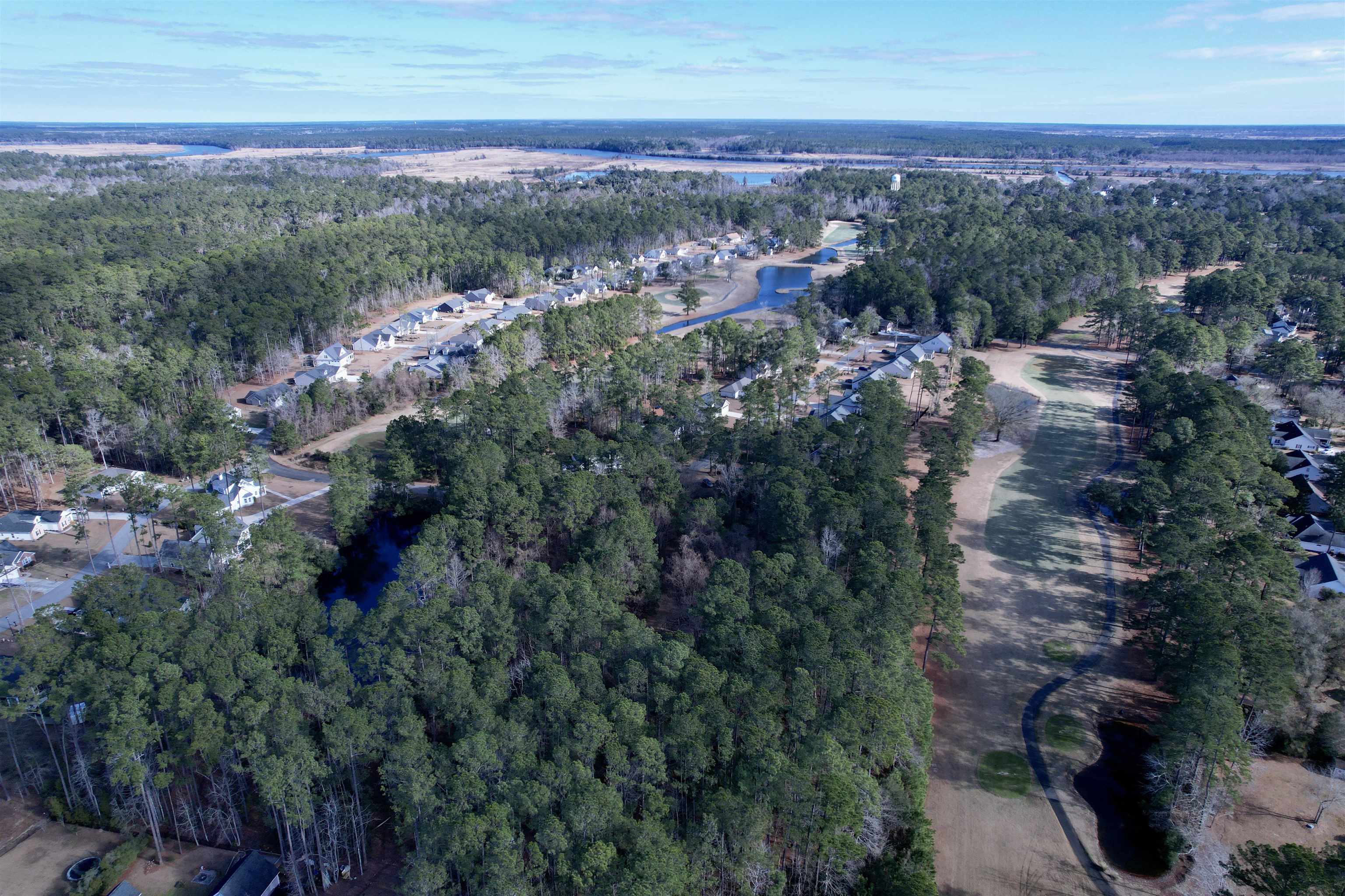 10-lots - Dragoon Court Georgetown, SC 29440 - Photo 4 of 14
