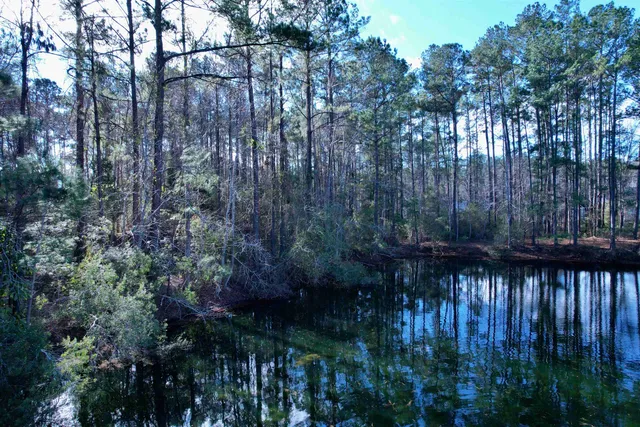 $399,000 | 10-lots - Dragoon Court, Georgetown, SC 29440