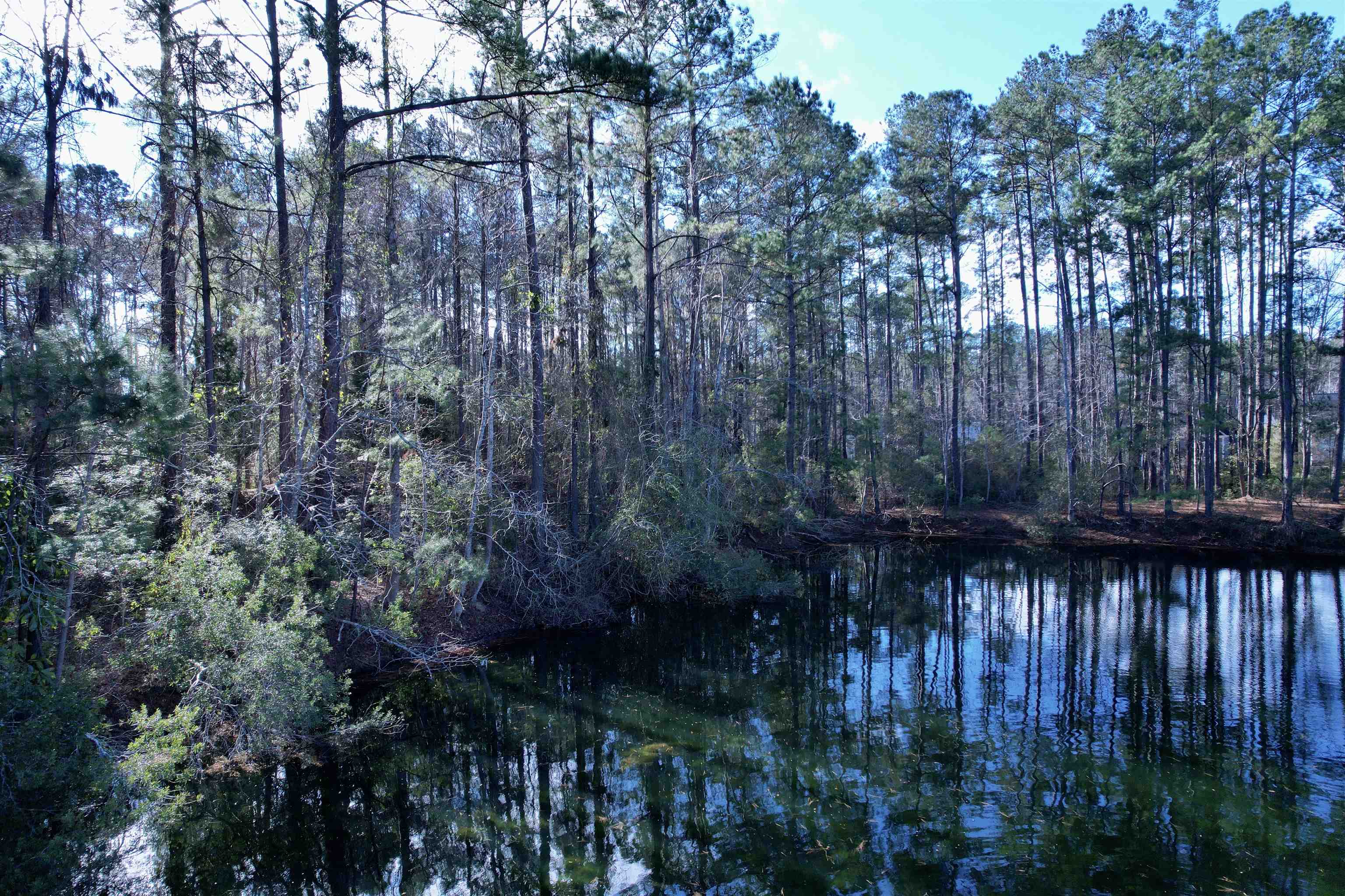 10-lots - Dragoon Court Georgetown, SC 29440 - Photo 9 of 14