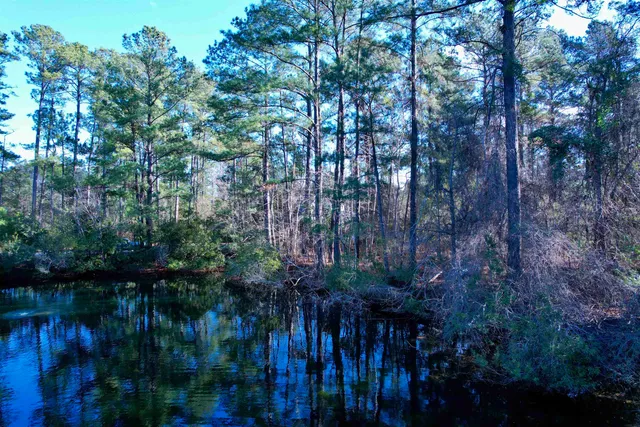 $399,000 | 10-lots - Dragoon Court, Georgetown, SC 29440