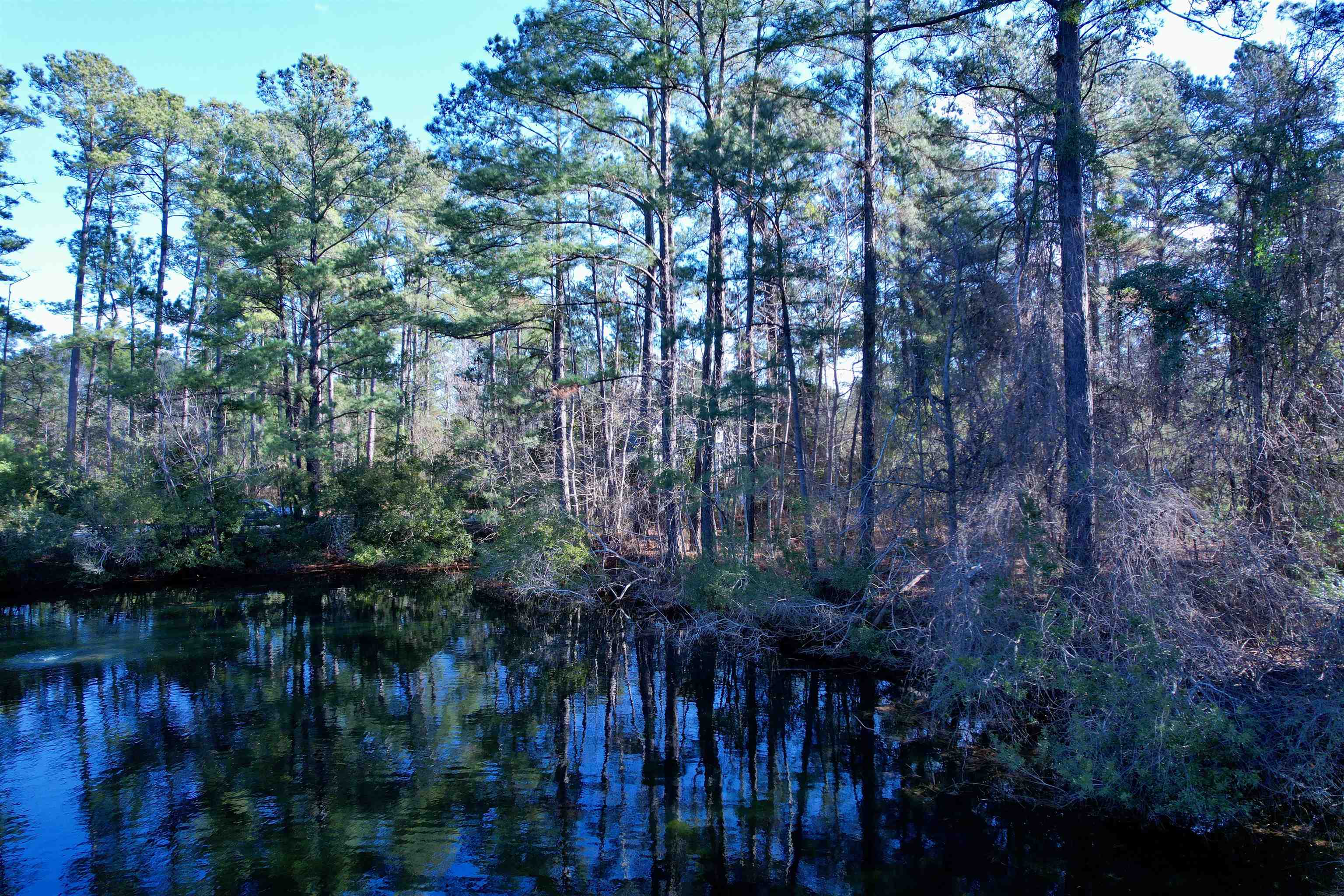 10-lots - Dragoon Court Georgetown, SC 29440 - Photo 10 of 14