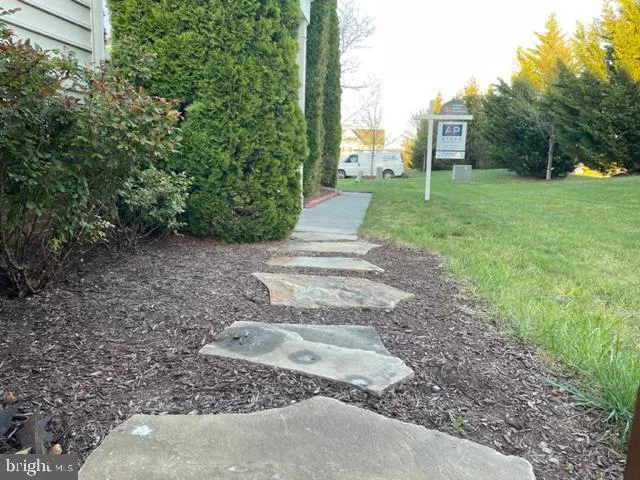 a view of a park with large trees