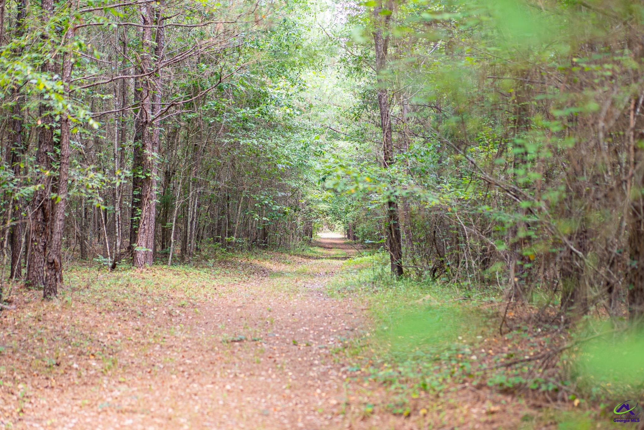 2050 Bible Camp Road Byron, GA 31008 - Photo 71 of 74