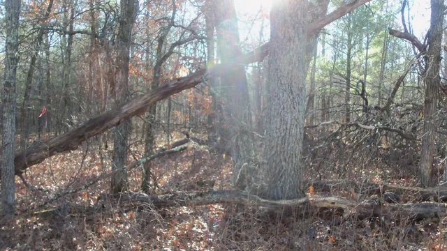 $59,900 | Lot 3 Ferry Road, Grantsburg, WI 54840