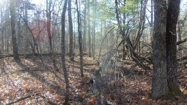 $59,900 | Lot 3 Ferry Road, Grantsburg, WI 54840