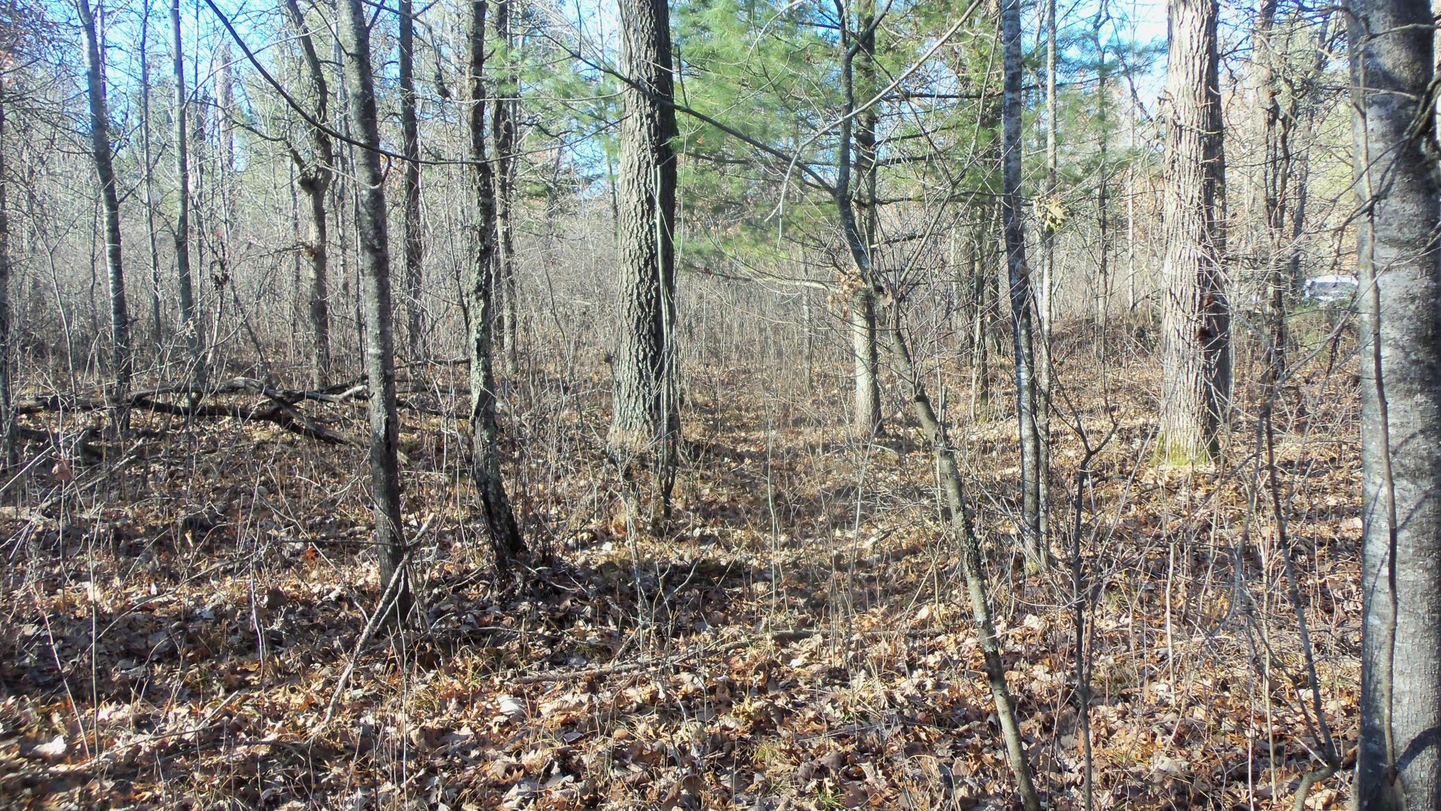 Lot 3 Ferry Road Grantsburg, WI 54840 - Photo 6 of 10