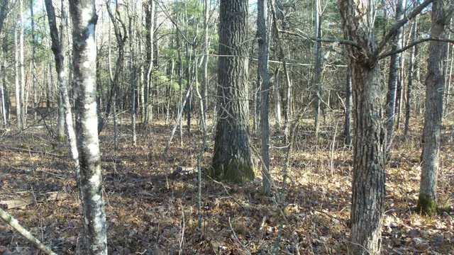 $59,900 | Lot 3 Ferry Road, Grantsburg, WI 54840