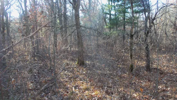 $59,900 | Lot 3 Ferry Road, Grantsburg, WI 54840