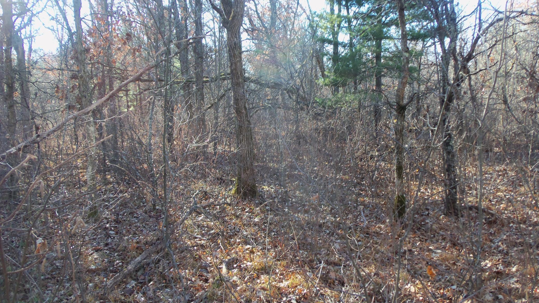 Lot 3 Ferry Road Grantsburg, WI 54840 - Photo 8 of 10