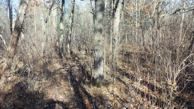 $59,900 | Lot 3 Ferry Road, Grantsburg, WI 54840