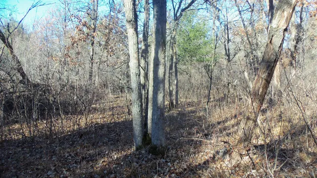 $59,900 | Lot 3 Ferry Road, Grantsburg, WI 54840