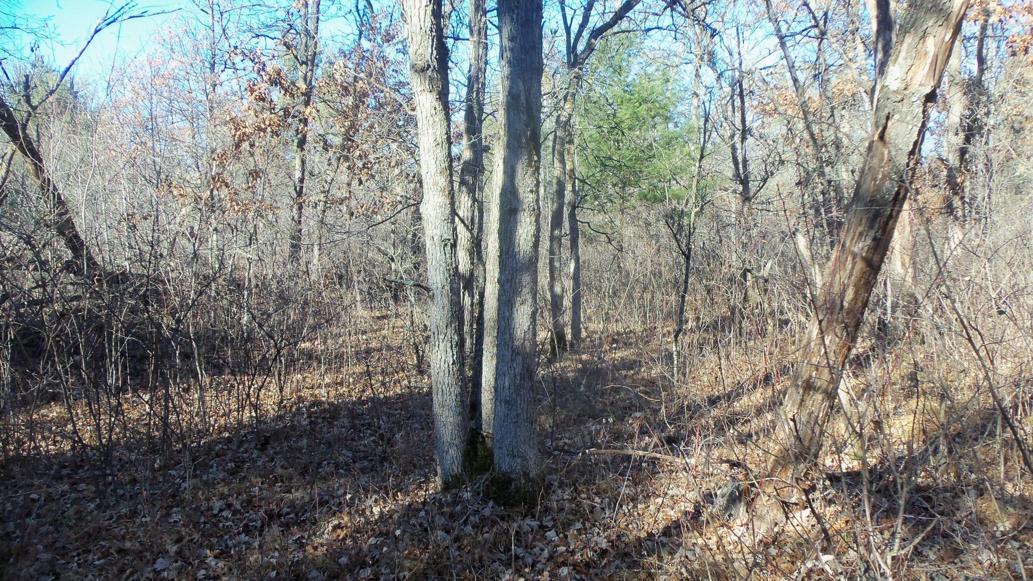 Lot 3 Ferry Road Grantsburg, WI 54840 - Photo 10 of 10