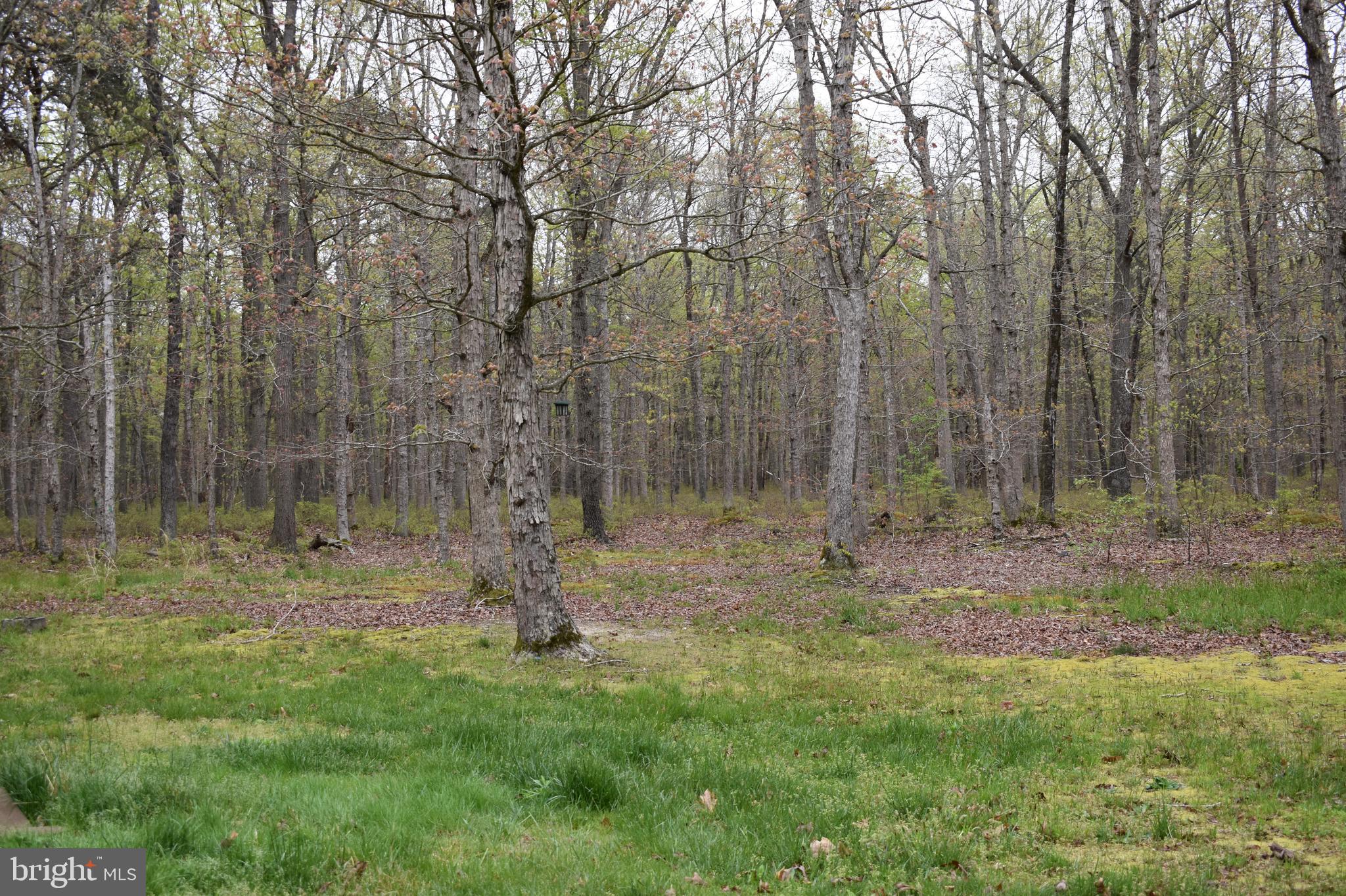 55 Hogbin Road Millville, NJ 08332 - Photo 18 of 20
