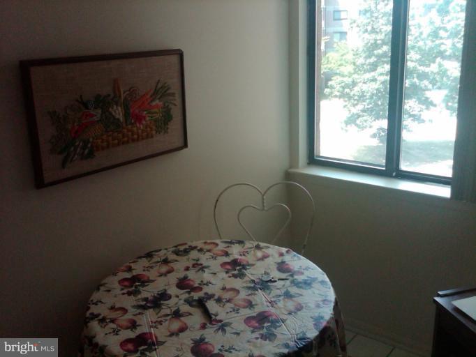 2901 Fallstaff Road, Unit 407 Baltimore, MD 21209 - Photo 1 of 9 a picture of a window