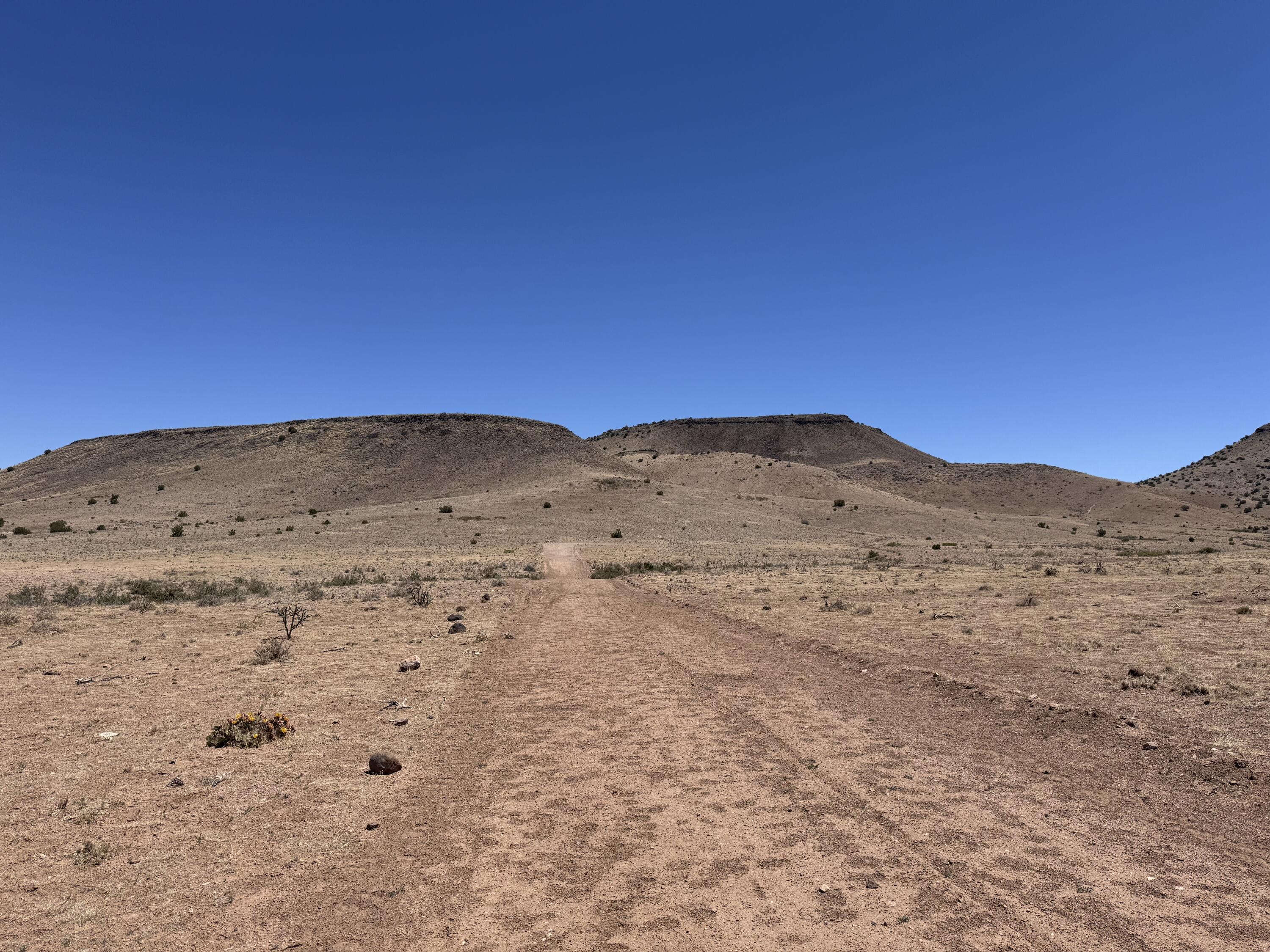 663 Willow Springs Ranch Road Socorro, NM 87801 - Photo 1 of 26 Gallery Image 1
