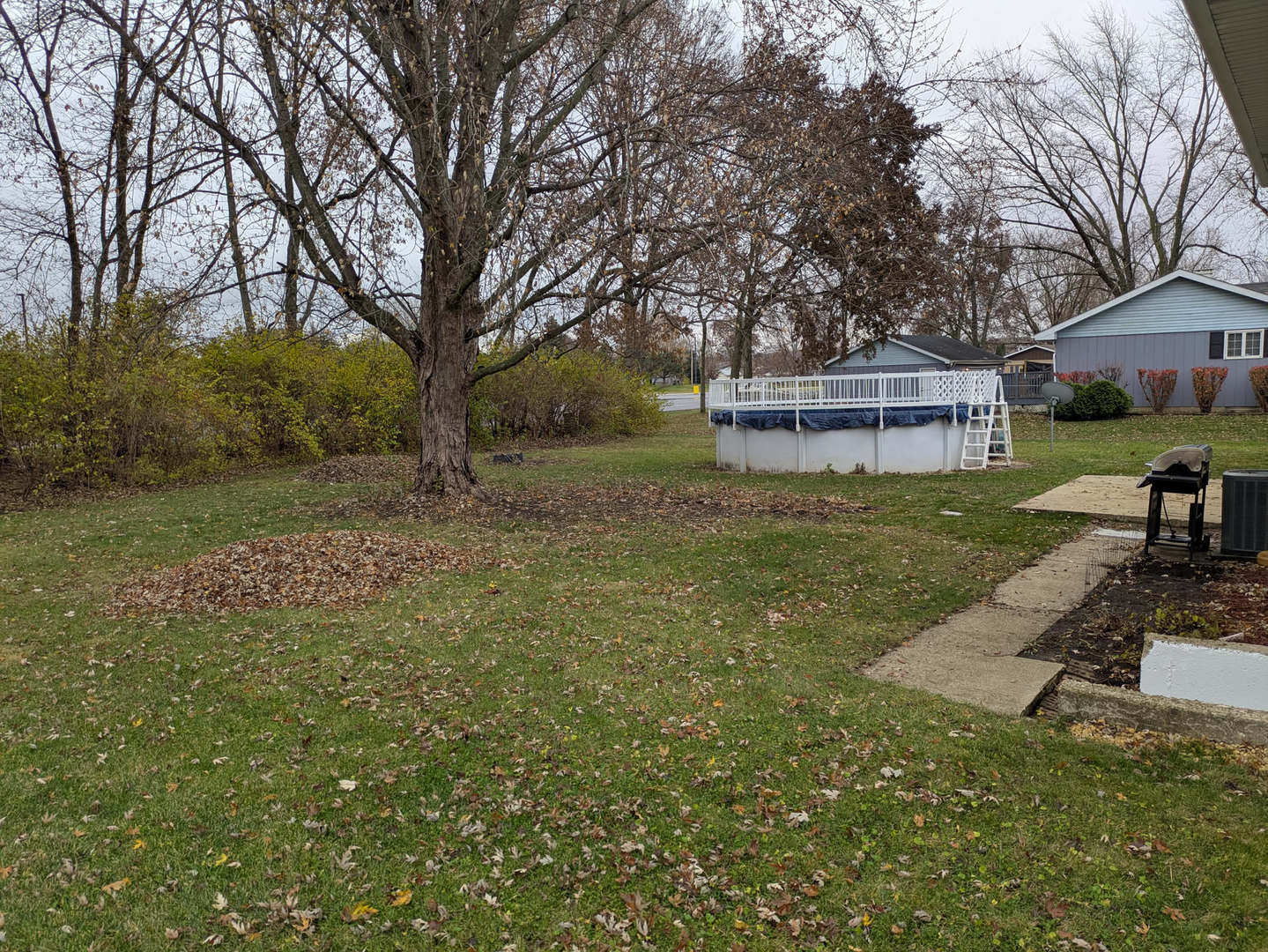 24031 South Cardinal Drive Channahon, IL 60410 - Photo 7 of 39 a view of a yard with a house and large trees