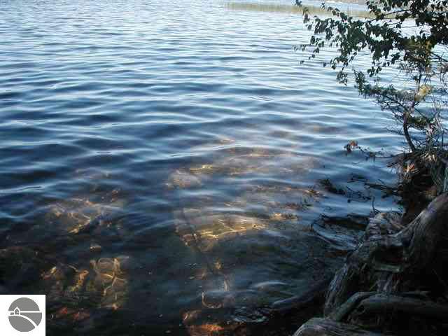 3100 East Duck Lake Road Grawn, MI 49637 - Photo 7 of 9 1694794-6.JPG