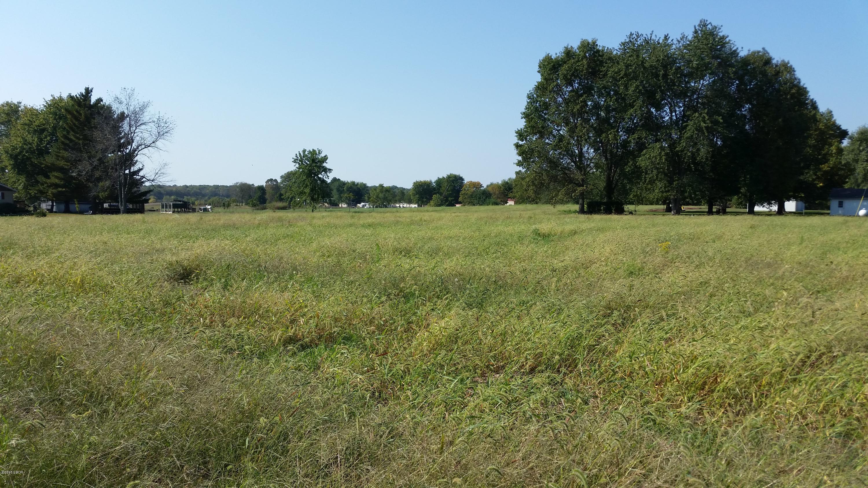 0 White Walnut Road Pinckneyville, IL 62274 - Photo 1 of 5