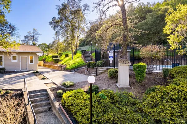 a view of a backyard with plants and patio