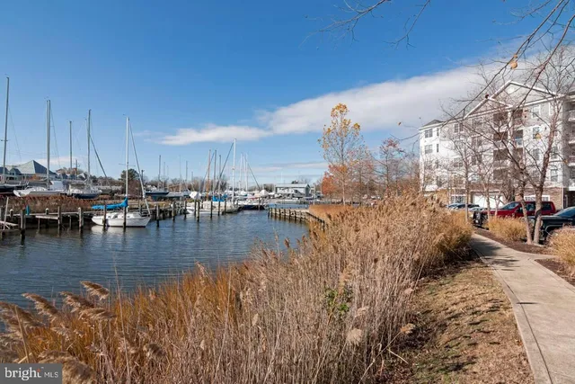 a view of water with boats and trees in the background