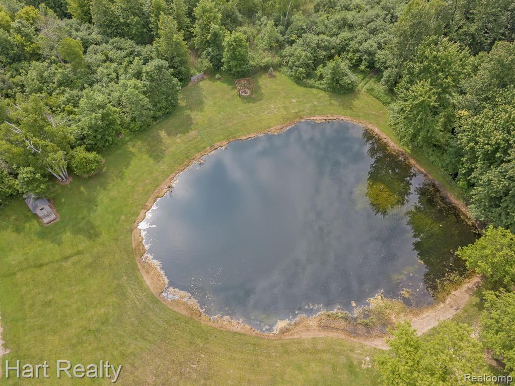 2705 Koylette Road Marlette, MI 48453 - Photo 6 of 73
