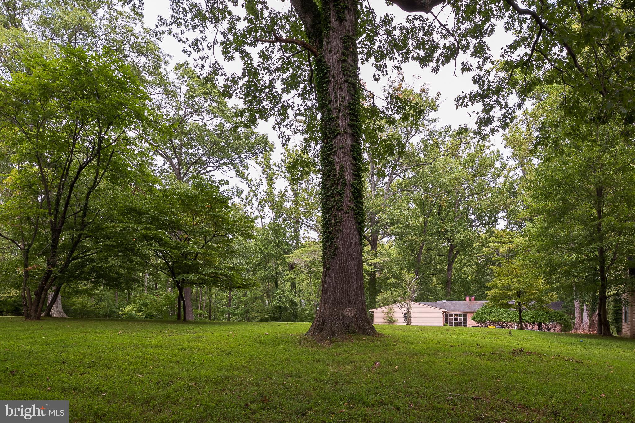 1628 Winchester Road Annapolis, MD 21409 - Photo 32 of 37 Backing to Woods
