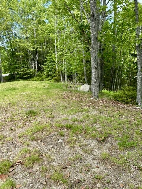 336 Rays Point Road Milbridge, ME 04658 - Photo 40 of 46