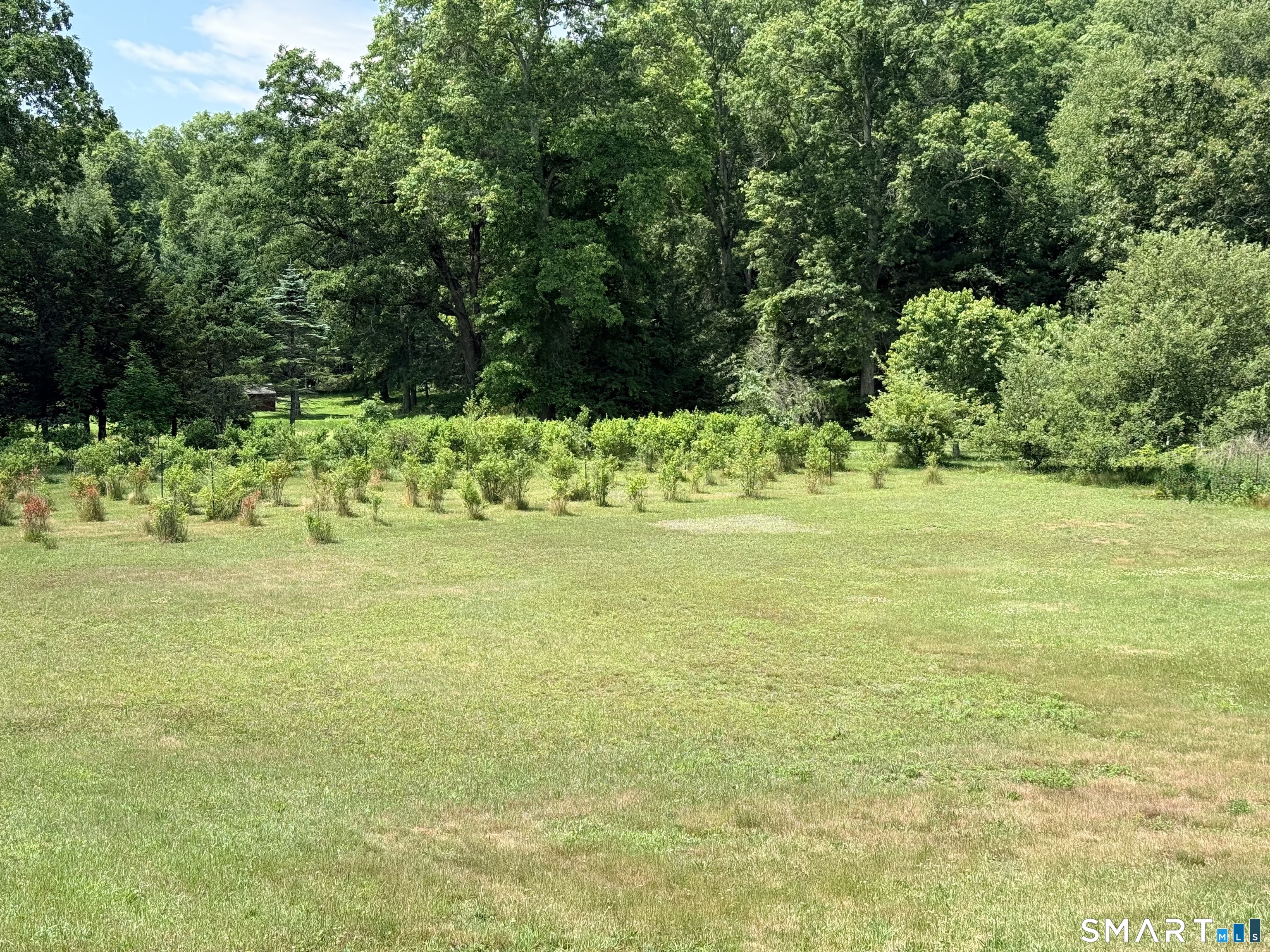 113 Starkweather Road Plainfield, CT 06354 - Photo 8 of 9