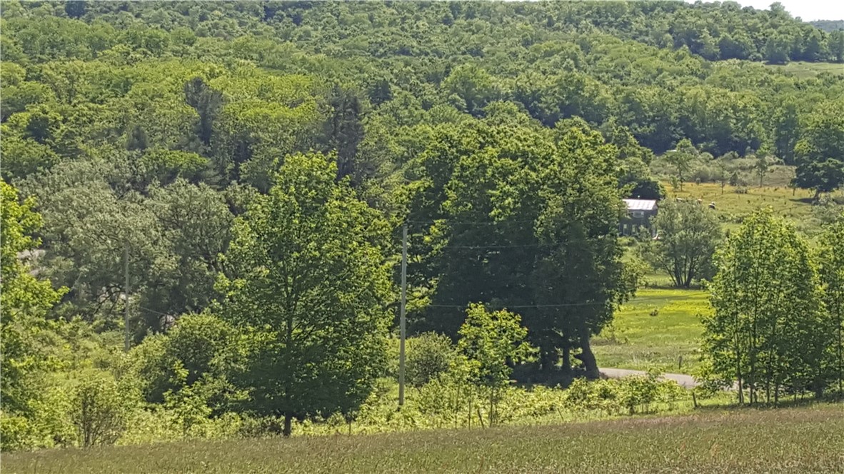 Stone Road McGraw, NY 13101 - Photo 1 of 7 Gallery Image 1