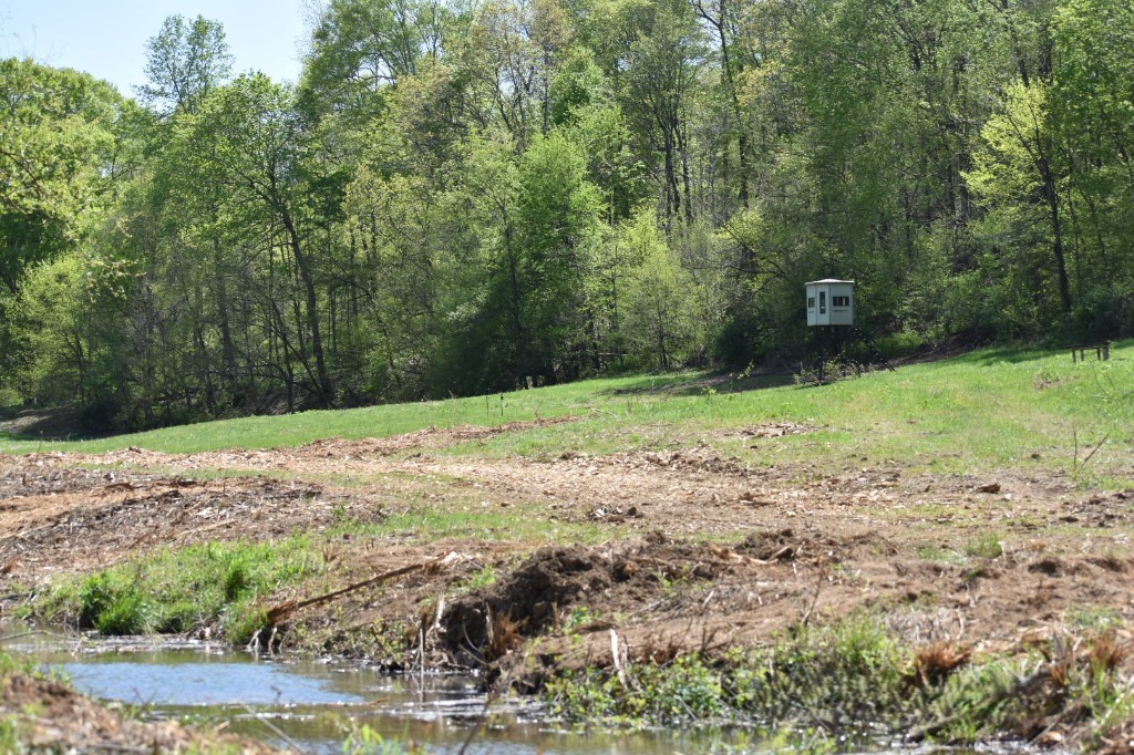 0 Buckner Ridge Road Bon Aqua, TN 37025 - Photo 1 of 18 a view of a yard with a tree