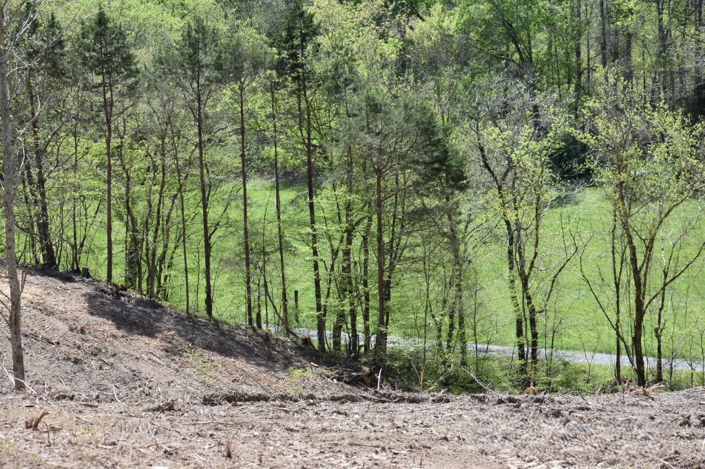 0 Buckner Ridge Road Bon Aqua, TN 37025 - Photo 13 of 18 a view of a garden