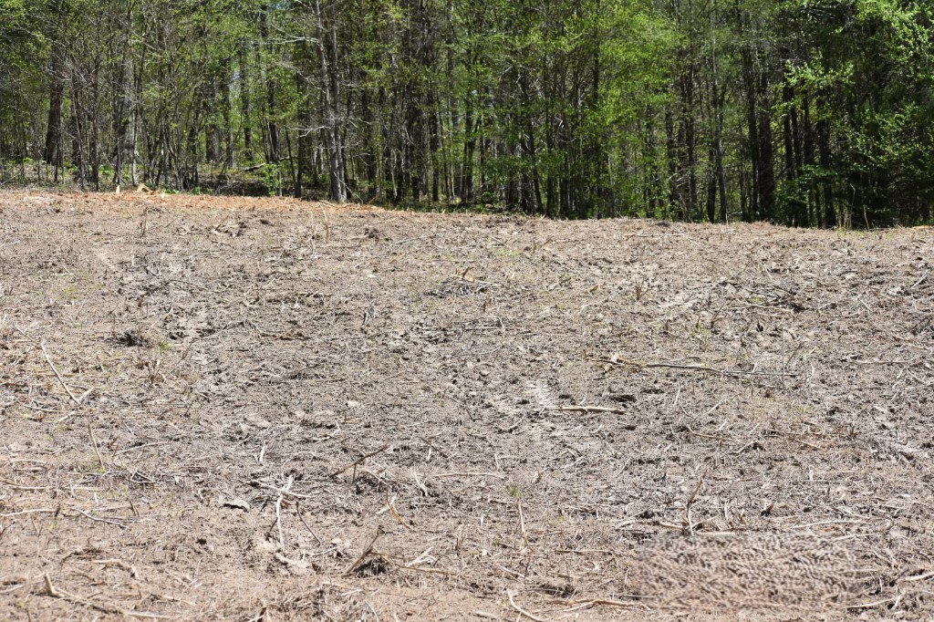 0 Buckner Ridge Road Bon Aqua, TN 37025 - Photo 15 of 18 a view of wooden wall under a large tree