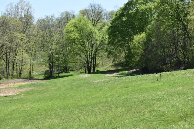 a view of a field with trees in the background