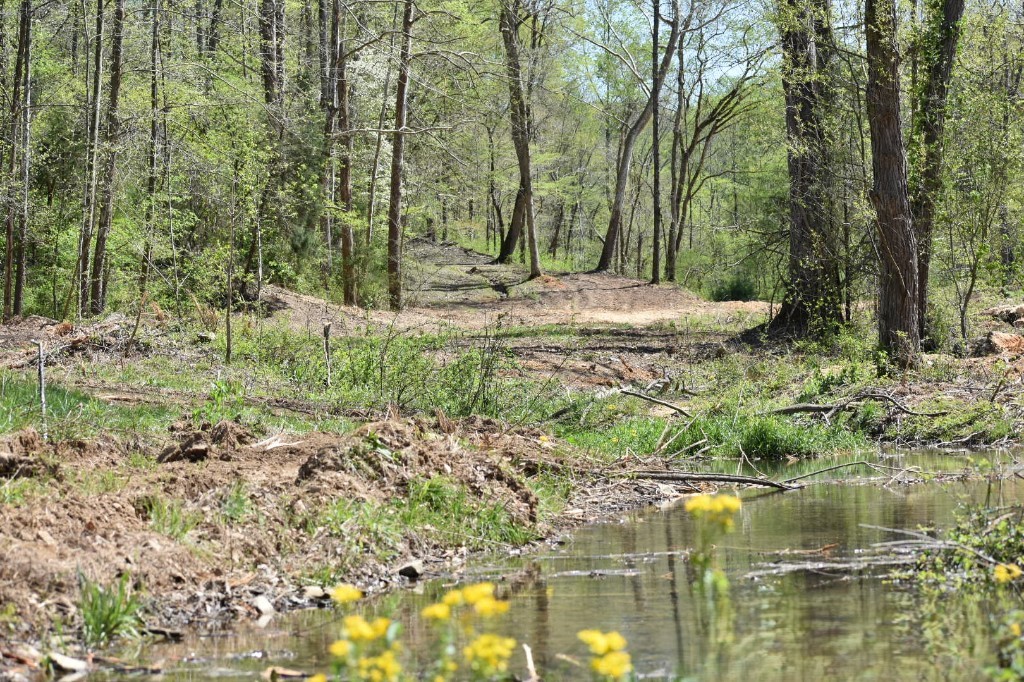 0 Buckner Ridge Road Bon Aqua, TN 37025 - Photo 3 of 18 a view of lake view with large trees