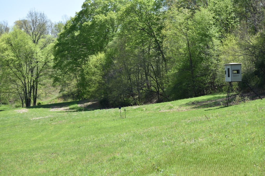 0 Buckner Ridge Road Bon Aqua, TN 37025 - Photo 4 of 18 a backyard of a house with lots of green space