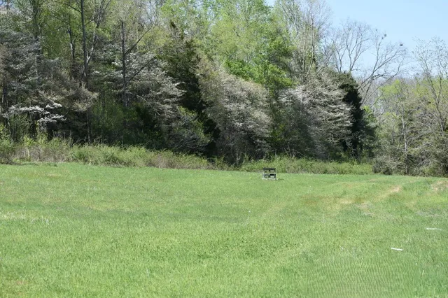 a big yard with lots of green space and deers