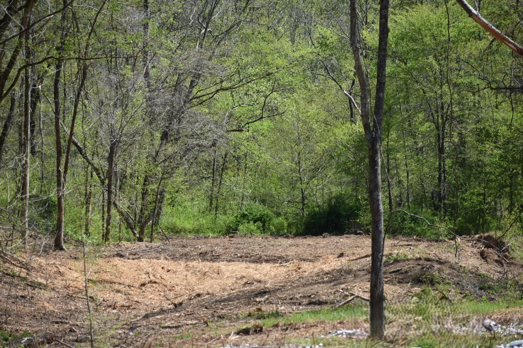 0 Buckner Ridge Road Bon Aqua, TN 37025 - Photo 7 of 18 a view of a forest filled with trees