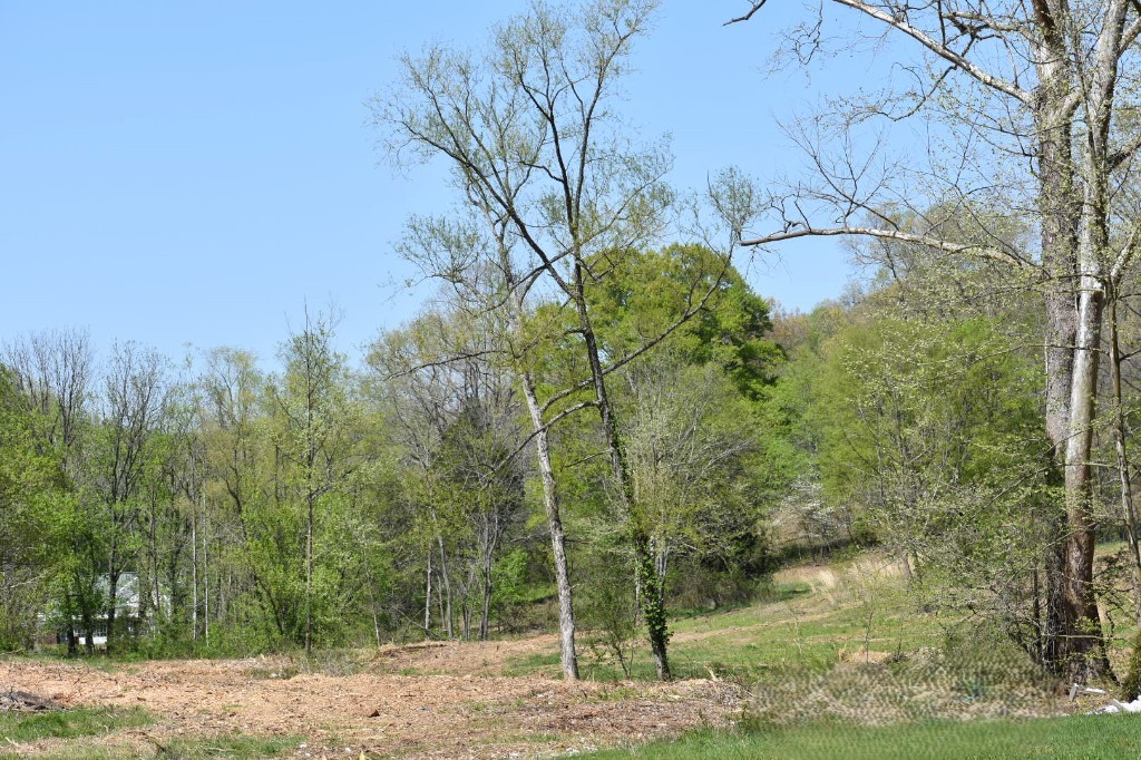 0 Buckner Ridge Road Bon Aqua, TN 37025 - Photo 9 of 18 a backyard of a house with lots of green space