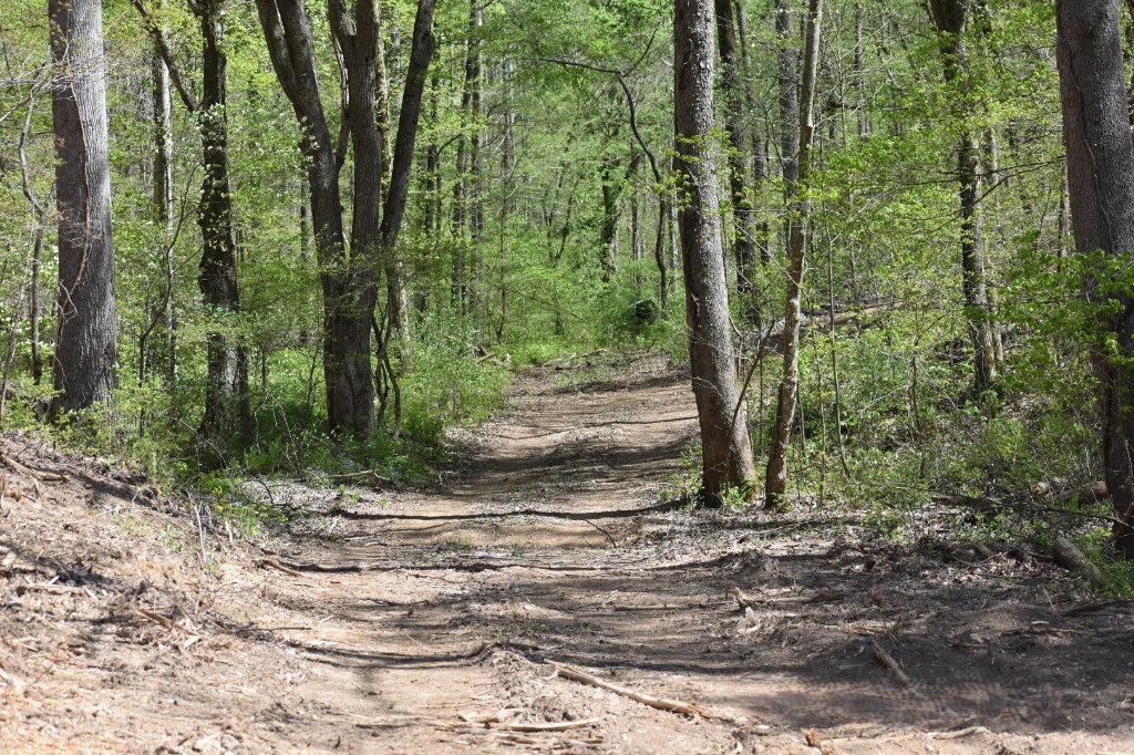 0 Buckner Ridge Road Bon Aqua, TN 37025 - Photo 10 of 18 a view of a yard with trees