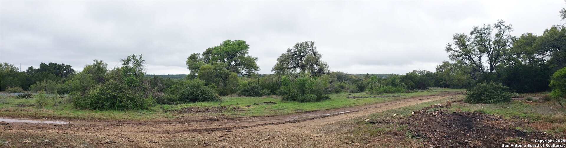 301 Rim Rock Ranch Road San Marcos, TX 78666 - Photo 3 of 4 a view of a dirt road with trees in the background