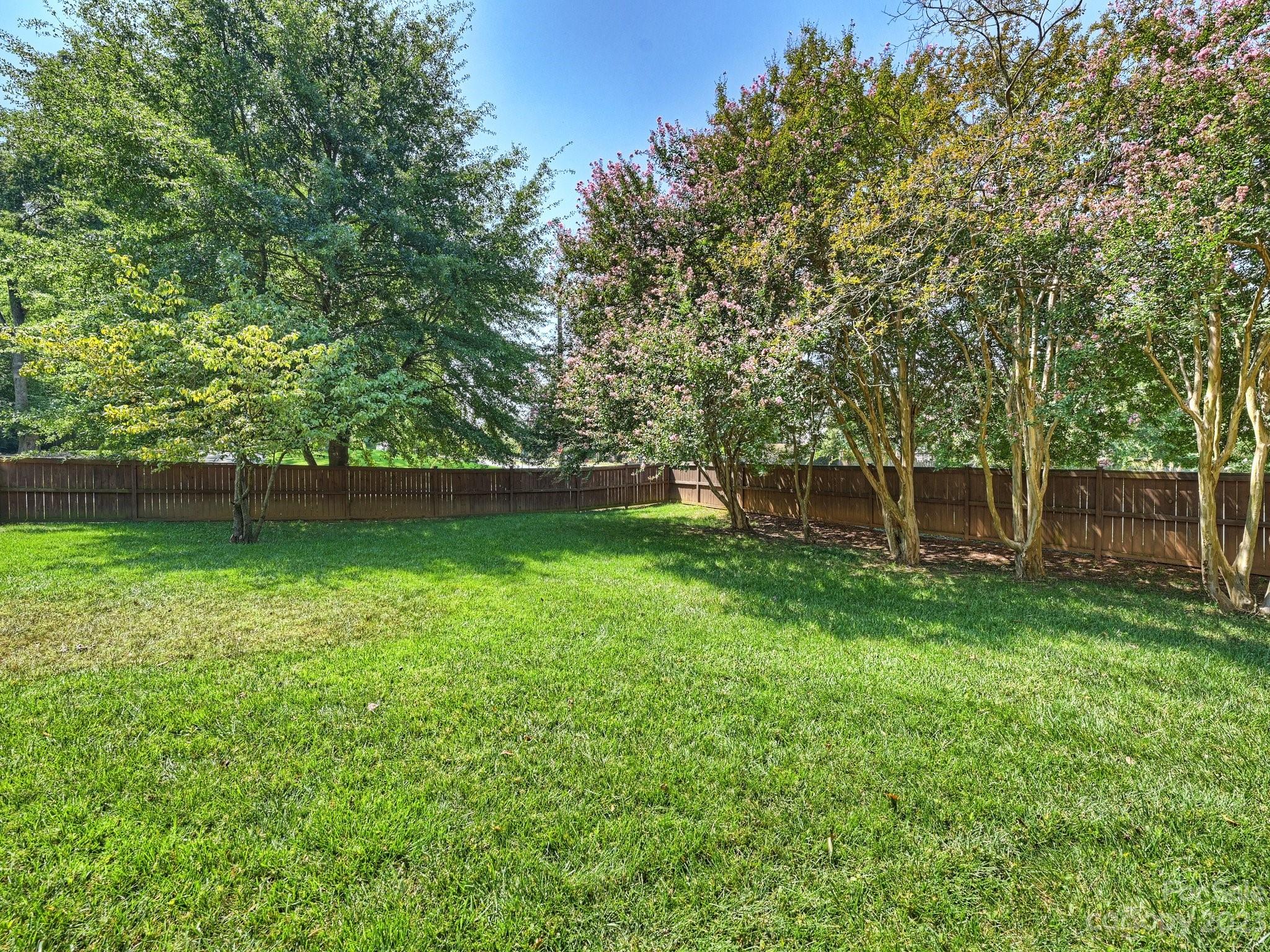 101 Scofield Road Charlotte, NC 28209 - Photo 26 of 26 a view of yard with green space