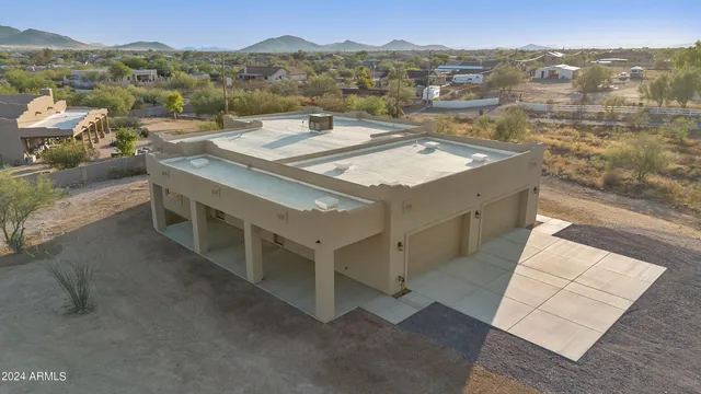 a view of a dry yard with large tree