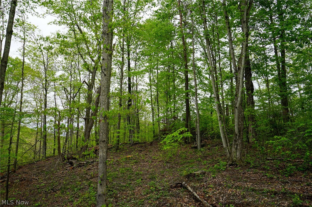Hill Road Stockport, OH 43787 - Photo 29 of 40