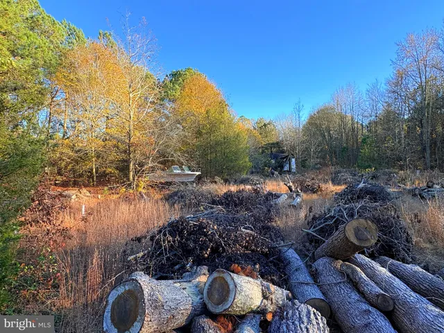 a view of a backyard with green space